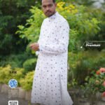 Premium Shuti  Panjabi-TL0037